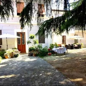 Viola Forlì